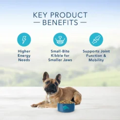 Blue Buffalo Life Protection Formula Small Breed Adult Chicken & Brown Rice Recipe Dry Dog Food (6 Lb) -Blue Buffalo blue buffalo life protection formula small breed adult chicken brown rice recipe dry dog food 6 lb 99