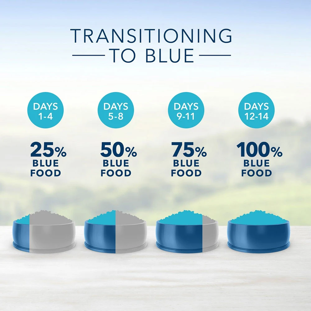 Blue Buffalo Life Protection Formula Small Breed Adult Lamb & Brown Rice Recipe Dry Dog Food (15 Lb) 6 Blue Buffalo Life Protection Formula Small Breed Adult Lamb & Brown Rice Recipe Dry Dog Food (15 Lb) - Image 6