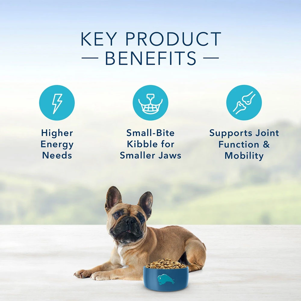 Blue Buffalo Life Protection Formula Small Breed Adult Lamb & Brown Rice Recipe Dry Dog Food (15 Lb) 4 Blue Buffalo Life Protection Formula Small Breed Adult Lamb & Brown Rice Recipe Dry Dog Food (15 Lb) - Image 4