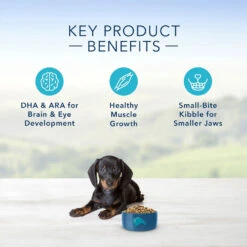 Blue Buffalo Life Protection Formula Small Breed Puppy Chicken & Oatmeal Recipe Dry Dog Food (15 Lb) -Blue Buffalo blue buffalo life protection formula small breed puppy chicken oatmeal recipe dry dog food 15 lb 101