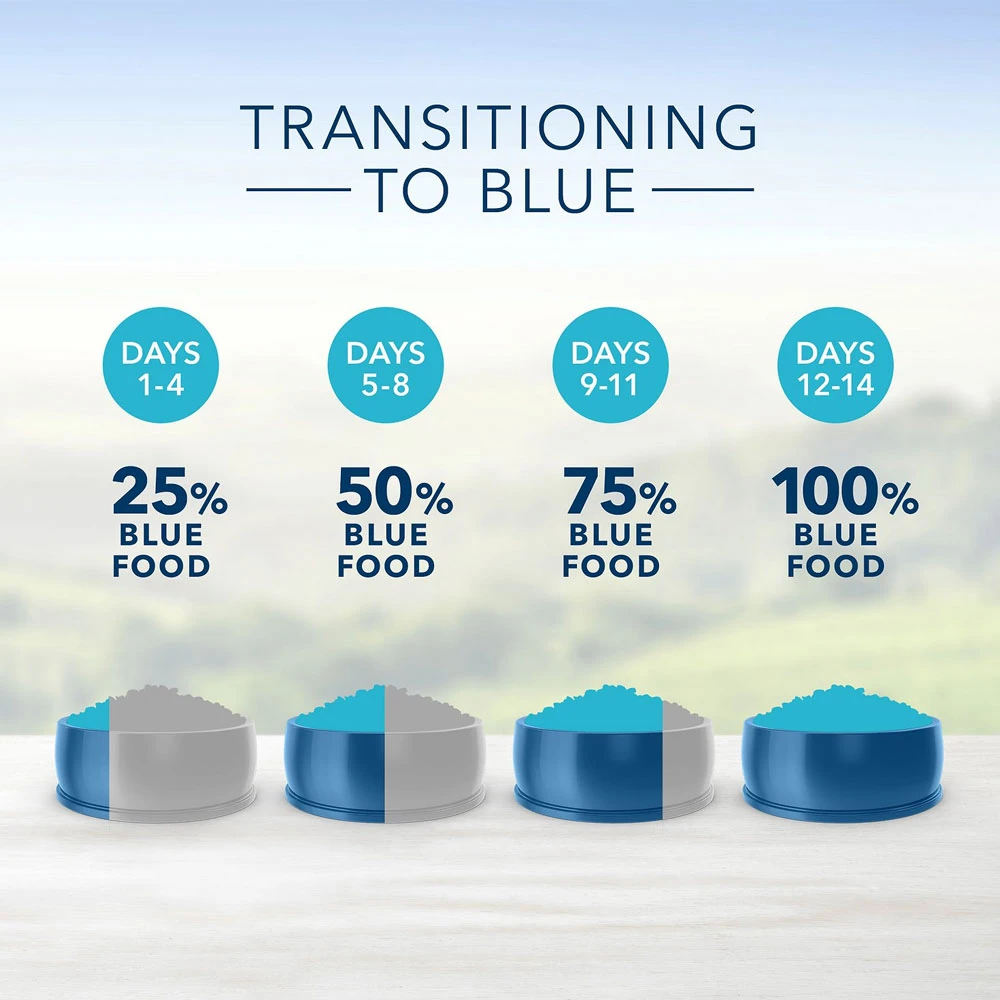 Blue Buffalo Multi-Cat Health Chicken & Turkey Recipe Adult Dry Cat Food (15 Lb) 6 Blue Buffalo Multi-Cat Health Chicken & Turkey Recipe Adult Dry Cat Food (15 Lb) - Image 6