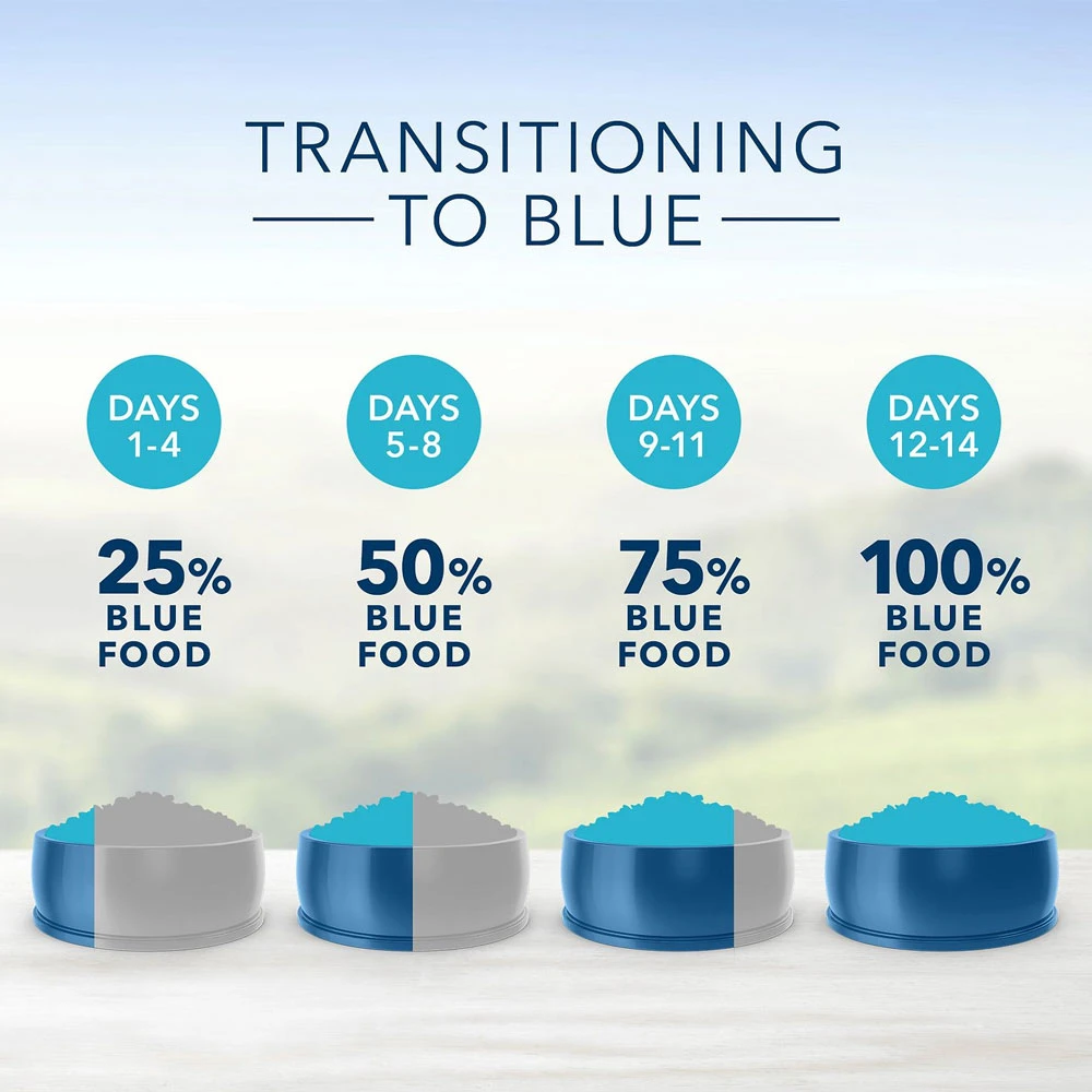 Blue Buffalo Sensitive Stomach Chicken Recipe Adult Dry Cat Food (7 Lb) 6 Blue Buffalo Sensitive Stomach Chicken Recipe Adult Dry Cat Food (7 Lb) - Image 6