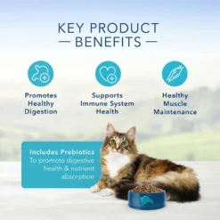 Blue Buffalo Sensitive Stomach Chicken Recipe Adult Dry Cat Food (7 Lb) 11 Blue Buffalo Sensitive Stomach Chicken Recipe Adult Dry Cat Food (7 Lb) -Blue Buffalo blue buffalo sensitive stomach chicken recipe adult dry cat food 7 lb 96