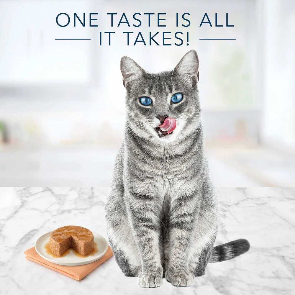 Blue Buffalo Tastefuls Beef Entree Pate Wet Cat Food (5.5oz X 12) 2 Blue Buffalo Tastefuls Beef Entree Pate Wet Cat Food (5.5oz X 12) - Image 2