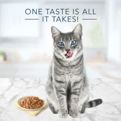 Blue Buffalo Tastefuls Chicken Entree In Gravy Flaked Wet Cat Food (5.5oz X 12) -Blue Buffalo blue buffalo tastefuls chicken entree in gravy flaked wet cat food 5 5oz x 12 84