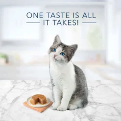 Blue Buffalo Tastefuls Chicken Entree Kitten Pate Wet Cat Food (3oz X 12) -Blue Buffalo blue buffalo tastefuls chicken entree kitten pate wet cat food 3oz x 12 86