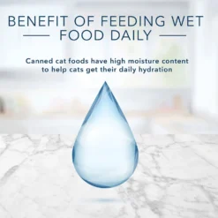Blue Buffalo Tastefuls Chicken Entree Kitten Pate Wet Cat Food (3oz X 12) -Blue Buffalo blue buffalo tastefuls chicken entree kitten pate wet cat food 3oz x 12 90
