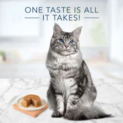 Blue Buffalo Tastefuls Chicken Entree Mature Cats Pate Wet Cat Food (3oz X 12) 9 Blue Buffalo Tastefuls Chicken Entree Mature Cats Pate Wet Cat Food (3oz X 12) -Blue Buffalo blue buffalo tastefuls chicken entree mature cats pate wet cat food 3oz x 12 85