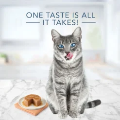 Blue Buffalo Tastefuls Chicken Entree Pate Wet Cat Food (3oz X 12) -Blue Buffalo blue buffalo tastefuls chicken entree pate wet cat food 3oz x 12 89