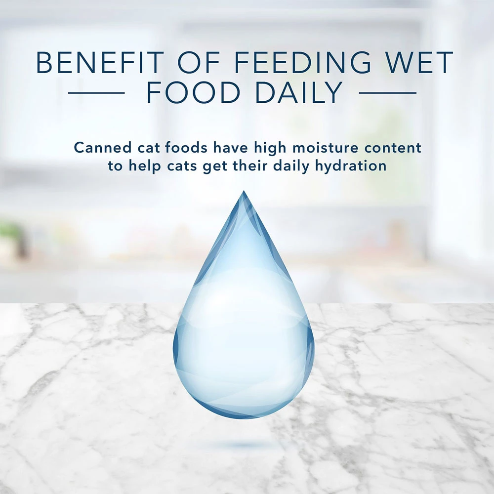 Blue Buffalo Tastefuls Chicken, Turkey & Chicken & Ocean Fish & Tuna Entrees Variety Pack Pate Wet Cat Food (5.5oz X 12) 5 Blue Buffalo Tastefuls Chicken, Turkey & Chicken & Ocean Fish & Tuna Entrees Variety Pack Pate Wet Cat Food (5.5oz X 12) - Image 5