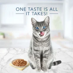 Blue Buffalo Tastefuls Fish & Shrimp Entree In Gravy Flaked Wet Cat Food (3oz X 12) 8 Blue Buffalo Tastefuls Fish & Shrimp Entree In Gravy Flaked Wet Cat Food (3oz X 12) -Blue Buffalo blue buffalo tastefuls fish shrimp entree in gravy flaked wet cat food 3oz x 12 82