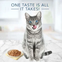 Blue Buffalo Tastefuls Salmon Entree In Gravy Flaked Wet Cat Food (3oz X 12) -Blue Buffalo blue buffalo tastefuls salmon entree in gravy flaked wet cat food 3oz x 12 81