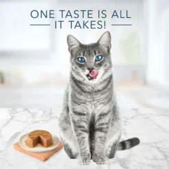 Blue Buffalo Tastefuls Salmon Entree Pate Wet Cat Food (3oz X 12) 9 Blue Buffalo Tastefuls Salmon Entree Pate Wet Cat Food (3oz X 12) -Blue Buffalo blue buffalo tastefuls salmon entree pate wet cat food 3oz x 12 85
