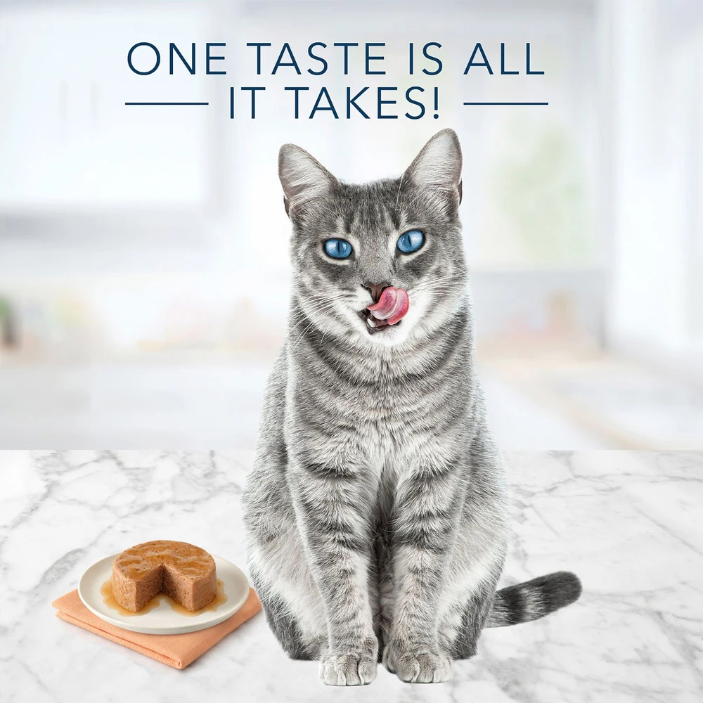 Blue Buffalo Tastefuls Salmon Entree Pate Wet Cat Food (5.5oz X 12) 4 Blue Buffalo Tastefuls Salmon Entree Pate Wet Cat Food (5.5oz X 12) - Image 4