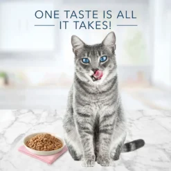 Blue Buffalo Tastefuls Tender Morsels Chicken Entree Wet Cat Food (5.5 Oz X 12) 8 Blue Buffalo Tastefuls Tender Morsels Chicken Entree Wet Cat Food (5.5 Oz X 12) -Blue Buffalo blue buffalo tastefuls tender morsels chicken entree wet cat food 5 5 oz x 12 81
