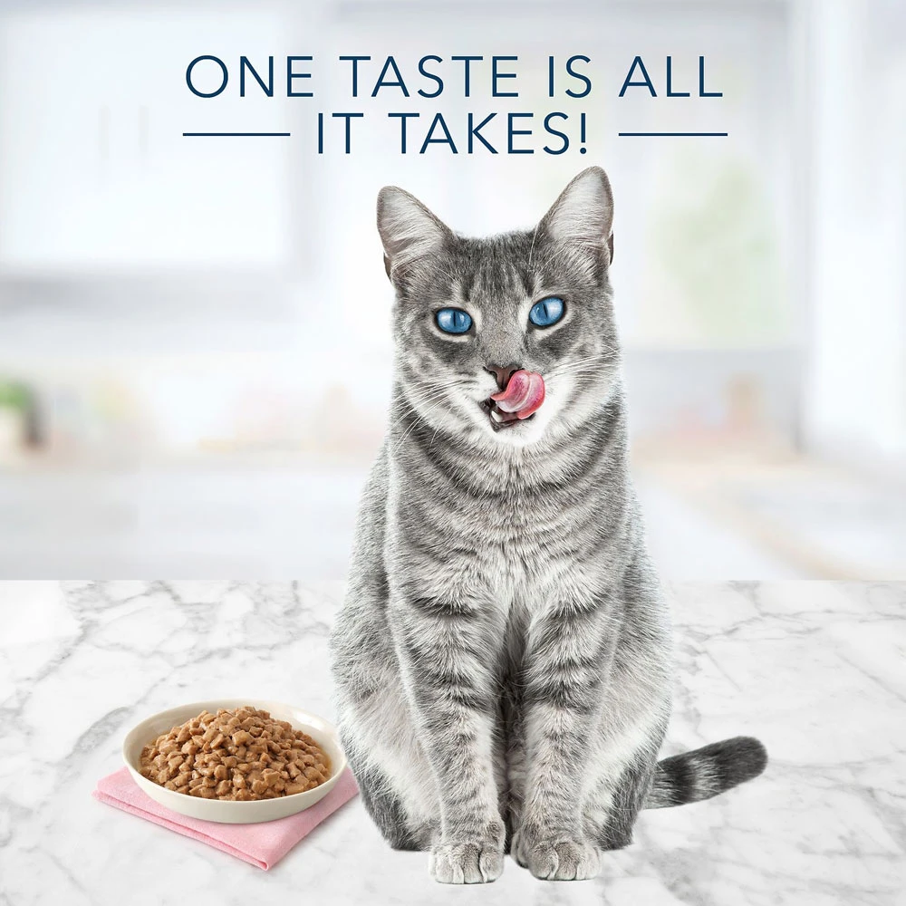 Blue Buffalo Tastefuls Tender Morsels Chicken Entree Wet Cat Food (5.5 Oz X 12) 3 Blue Buffalo Tastefuls Tender Morsels Chicken Entree Wet Cat Food (5.5 Oz X 12) - Image 3