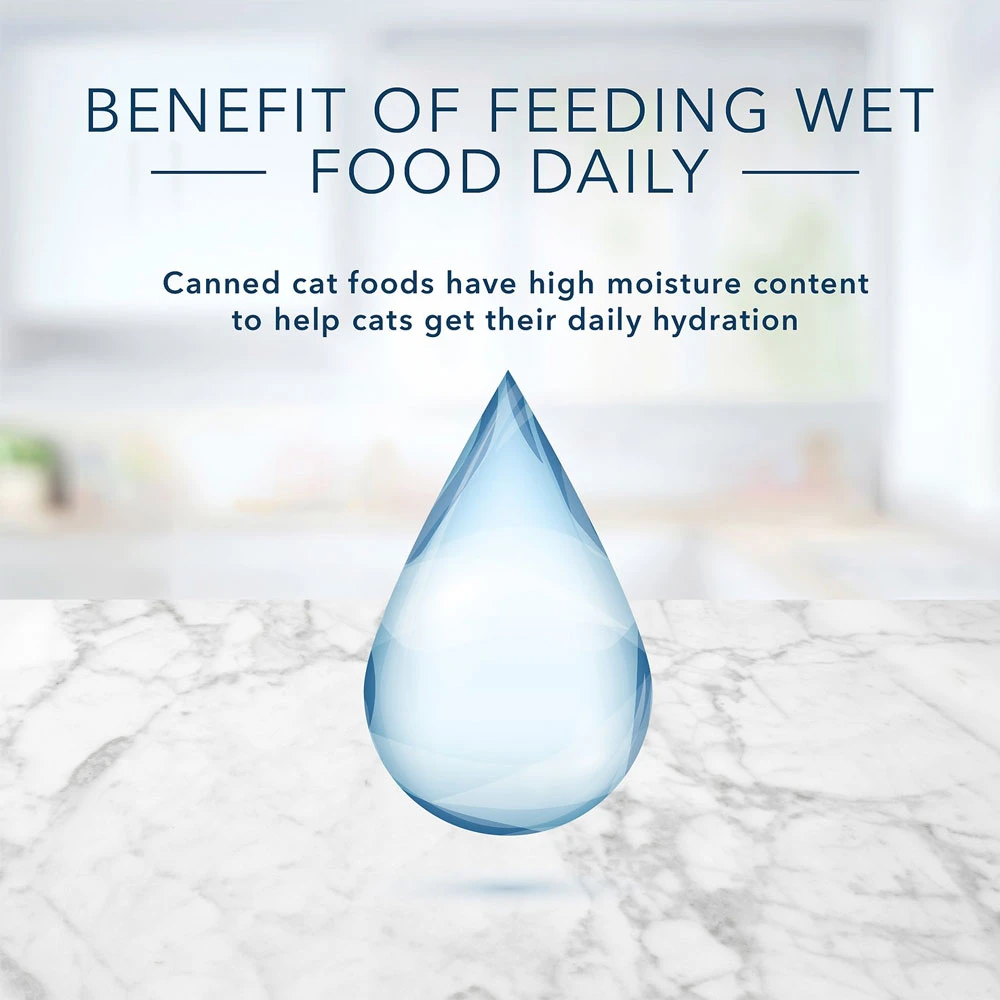 Blue Buffalo Tastefuls Tender Morsels Chicken Entree Wet Cat Food (5.5 Oz X 12) 6 Blue Buffalo Tastefuls Tender Morsels Chicken Entree Wet Cat Food (5.5 Oz X 12) - Image 6