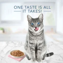 Blue Buffalo Tastefuls Tender Morsels Tuna Entree Wet Cat Food (3oz X 24) 8 Blue Buffalo Tastefuls Tender Morsels Tuna Entree Wet Cat Food (3oz X 24) -Blue Buffalo blue buffalo tastefuls tender morsels tuna entree wet cat food 3oz x 24 84