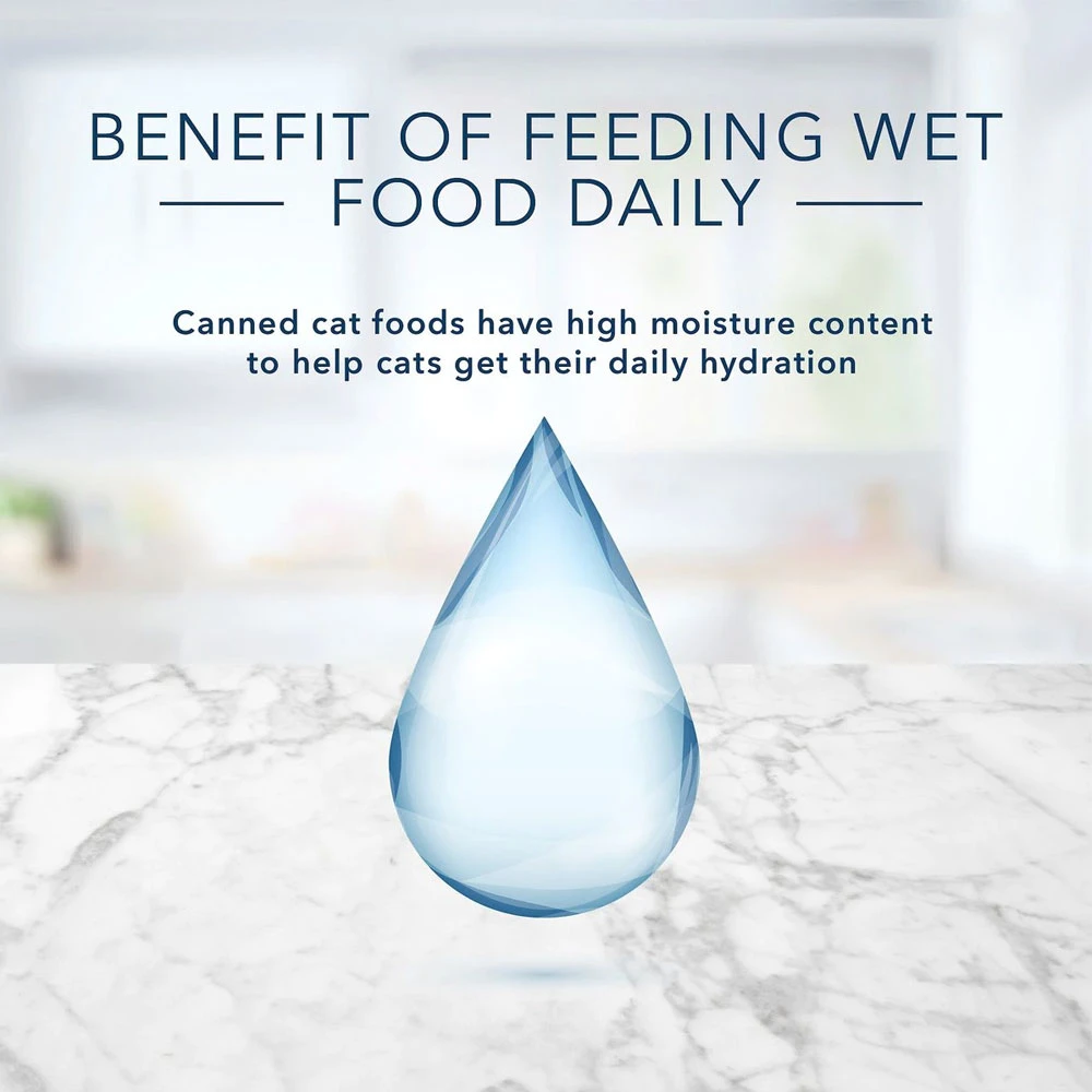 Blue Buffalo Tastefuls Tuna, Chicken, Fish & Shrimp Entrees Variety Pack Flaked Wet Cat Food 3-oz, Case Of 12 6 Blue Buffalo Tastefuls Tuna, Chicken, Fish & Shrimp Entrees Variety Pack Flaked Wet Cat Food 3-oz, Case Of 12 - Image 6