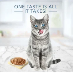 Blue Buffalo Tastefuls Tuna Entree In Gravy Flaked Wet Cat Food (3oz X 12) -Blue Buffalo blue buffalo tastefuls tuna entree in gravy flaked wet cat food 3oz x 12 85