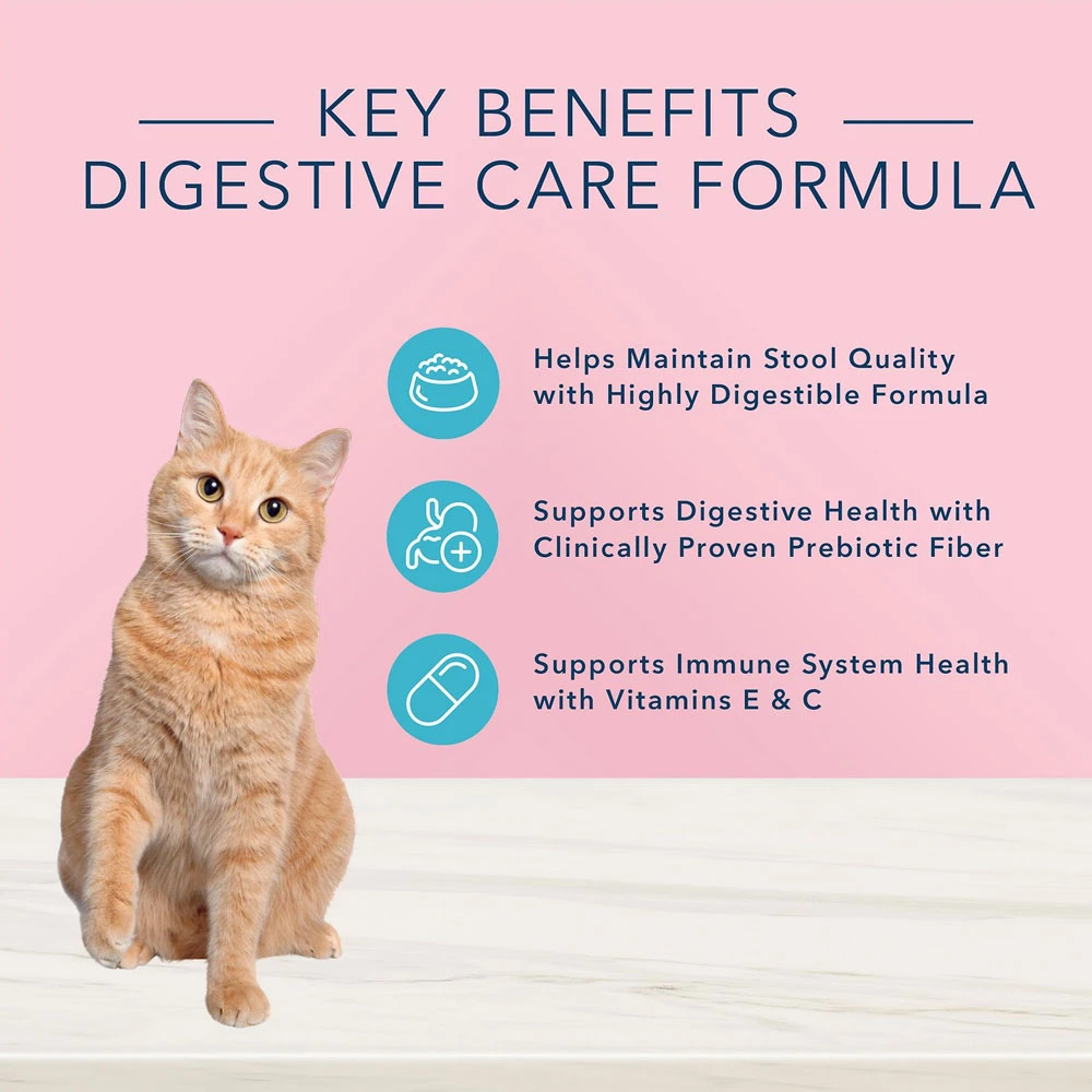 Blue Buffalo True Solutions Blissful Belly Digestive Care Formula Dry Cat Food (11 Lb) 3 Blue Buffalo True Solutions Blissful Belly Digestive Care Formula Dry Cat Food (11 Lb) - Image 3