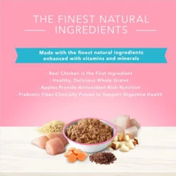 Blue Buffalo True Solutions Blissful Belly Digestive Care Formula Dry Dog Food (12.5oz X 12) -Blue Buffalo blue buffalo true solutions blissful belly digestive care formula dry dog food 12 5oz x 12 83