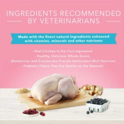 Blue Buffalo True Solutions Blissful Belly Digestive Care Formula Dry Dog Food (4 Lb) -Blue Buffalo blue buffalo true solutions blissful belly digestive care formula dry dog food 4 lb 93