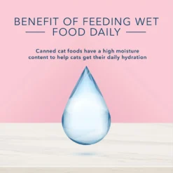 Blue Buffalo True Solutions Blissful Belly Digestive Care Formula Wet Cat Food (3oz X 24) 11 Blue Buffalo True Solutions Blissful Belly Digestive Care Formula Wet Cat Food (3oz X 24) -Blue Buffalo blue buffalo true solutions blissful belly digestive care formula wet cat food 3oz x 24 92