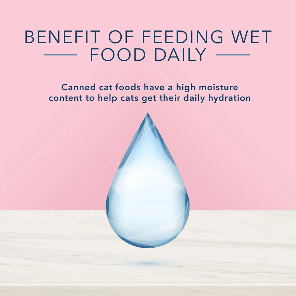Blue Buffalo True Solutions Blissful Belly Digestive Care Formula Wet Cat Food (3oz X 24) 6 Blue Buffalo True Solutions Blissful Belly Digestive Care Formula Wet Cat Food (3oz X 24) - Image 6