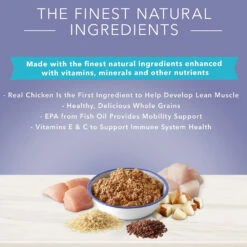 Blue Buffalo True Solutions Jolly Joints Mobility Support Formula Dry Dog Food (12.5oz X 12) -Blue Buffalo blue buffalo true solutions jolly joints mobility support formula dry dog food 12 5oz x 12 81