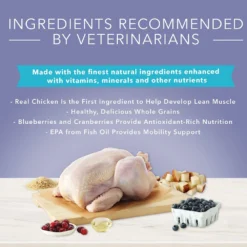 Blue Buffalo True Solutions Jolly Joints Mobility Support Formula Dry Dog Food (4 Lb) -Blue Buffalo blue buffalo true solutions jolly joints mobility support formula dry dog food 4 lb 92