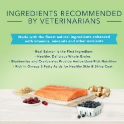 Blue Buffalo True Solutions Perfect Coat Skin & Coat Care Formula Dry Cat Food (3.5 Lb) 11 Blue Buffalo True Solutions Perfect Coat Skin & Coat Care Formula Dry Cat Food (3.5 Lb) -Blue Buffalo blue buffalo true solutions perfect coat skin coat care formula dry cat food 3 5 lb 86