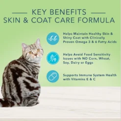 Blue Buffalo True Solutions Perfect Coat Skin & Coat Care Formula Wet Cat Food (3oz X 24) -Blue Buffalo blue buffalo true solutions perfect coat skin coat care formula wet cat food 3oz x 24 85
