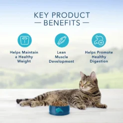 Blue Buffalo Healthy Aging Weight Control Chicken & Brown Rice Recipe Adult Dry Cat Food (15 Lb) -Blue Buffalo blue buffalo weight control chicken brown rice recipe adult dry cat food 15 lb 134