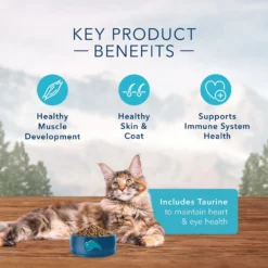 Blue Buffalo Wilderness Chicken Recipe Grain-Free Dry Cat Food (6 Lb) 10 Blue Buffalo Wilderness Chicken Recipe Grain-Free Dry Cat Food (6 Lb) -Blue Buffalo blue buffalo wilderness chicken recipe grain free dry cat food 6 lb 190