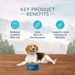 Blue Buffalo Wilderness Healthy Weight Chicken Recipe Grain-Free Dry Dog Food (24 Lb) -Blue Buffalo blue buffalo wilderness healthy weight chicken recipe grain free dry dog food 24 lb 75