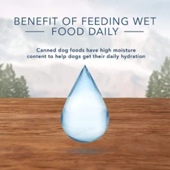 Blue Buffalo Wilderness Healthy Weight Turkey & Chicken Grill Adult Wet Dog Food (12.5oz X 12) 11 Blue Buffalo Wilderness Healthy Weight Turkey & Chicken Grill Adult Wet Dog Food (12.5oz X 12) -Blue Buffalo blue buffalo wilderness healthy weight turkey chicken grill adult wet dog food 12 5oz x 12 89
