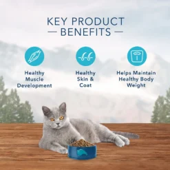 Blue Buffalo Wilderness Indoor Chicken Recipe Grain-Free Dry Cat Food (5 Lb) 14 Blue Buffalo Wilderness Indoor Chicken Recipe Grain-Free Dry Cat Food (5 Lb) -Blue Buffalo blue buffalo wilderness indoor chicken recipe grain free dry cat food 5 lb 113