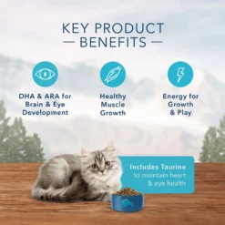 Blue Buffalo Wilderness Kitten Chicken Recipe Grain-Free Dry Cat Food (5 Lb) -Blue Buffalo blue buffalo wilderness kitten chicken recipe grain free dry cat food 5 lb 91