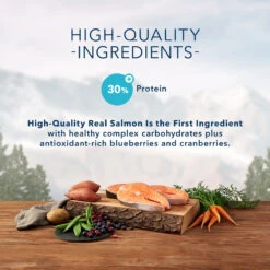 Blue Buffalo Wilderness Large Breed Salmon Recipe Grain-Free Dry Dog Food (24 Lb) -Blue Buffalo blue buffalo wilderness large breed salmon recipe grain free dry dog food 24 lb 91