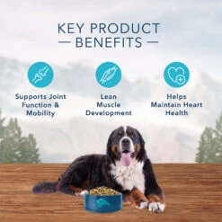 Blue Buffalo Wilderness Large Breed Salmon Recipe Grain-Free Dry Dog Food (24 Lb) -Blue Buffalo blue buffalo wilderness large breed salmon recipe grain free dry dog food 24 lb 95