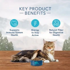 Blue Buffalo Wilderness Mature Chicken Recipe Grain-Free Dry Cat Food (5 Lb) -Blue Buffalo blue buffalo wilderness mature chicken recipe grain free dry cat food 5 lb 107