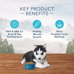 Blue Buffalo Wilderness Puppy Grain Free Chicken Dry Food (24 Lb) -Blue Buffalo blue buffalo wilderness puppy grain free chicken dry food 24 lb 144