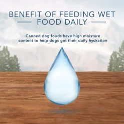 Blue Buffalo Wilderness Rocky Mountain Recipe Red Meat Dinner Adult Grain-Free Canned Dog Food (12.5oz X 12) -Blue Buffalo blue buffalo wilderness rocky mountain recipe red meat dinner adult grain free canned dog food 12 5oz x 12 91