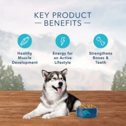 Blue Buffalo Wilderness Rocky Mountain Recipe With Bison Adult Grain-Free Dry Dog Food (22 Lb) 10 Blue Buffalo Wilderness Rocky Mountain Recipe With Bison Adult Grain-Free Dry Dog Food (22 Lb) -Blue Buffalo blue buffalo wilderness rocky mountain recipe with bison adult grain free dry dog food 22 lb 89