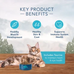 Blue Buffalo Wilderness Rocky Mountain Recipe With Rabbit Adult Grain-Free Dry Cat Food (10 Lb) -Blue Buffalo blue buffalo wilderness rocky mountain recipe with rabbit adult grain free dry cat food 10 lb 86