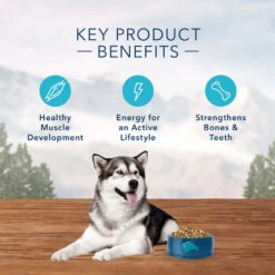 Blue Buffalo Wilderness Rocky Mountain Recipe With Red Meat Adult Grain-Free Dry Dog Food (10 Lb) -Blue Buffalo blue buffalo wilderness rocky mountain recipe with red meat adult grain free dry dog food 10 lb 115