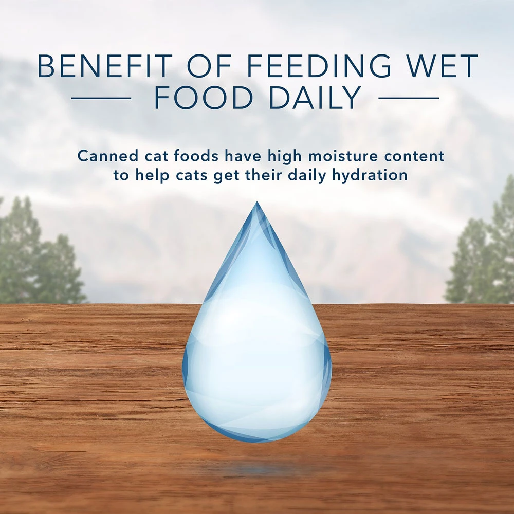 Blue Buffalo Wilderness Salmon Grain-Free Canned Cat Food (12.5oz X 12) 4 Blue Buffalo Wilderness Salmon Grain-Free Canned Cat Food (12.5oz X 12) - Image 4