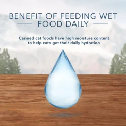 Blue Buffalo Wilderness Salmon Grain-Free Canned Cat Food (5.5oz X 12) -Blue Buffalo blue buffalo wilderness salmon grain free canned cat food 5 5oz x 12 72