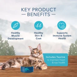 Blue Buffalo Wilderness Salmon Recipe Grain-Free Dry Cat Food, 11-lb Bag -Blue Buffalo blue buffalo wilderness salmon recipe grain free dry cat food 11 lb bag 90